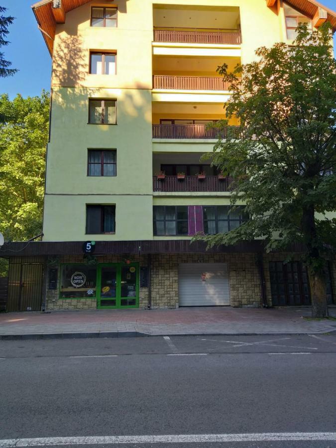 Monik Sinaia